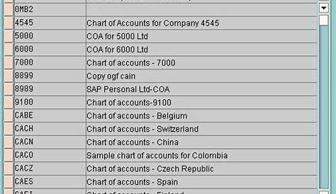gm chart of accounts excel