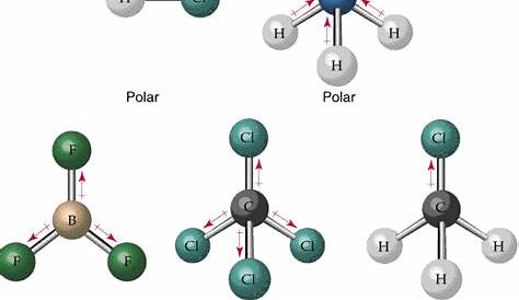 polar molecules worksheets