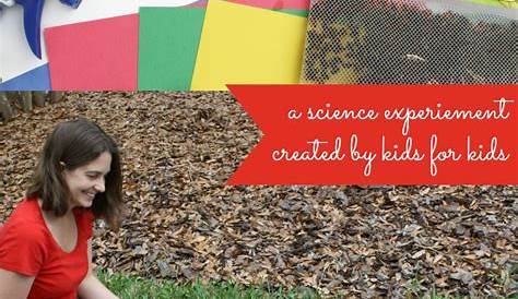 The Educators' Spin On It: Ladybug Science Experiment
