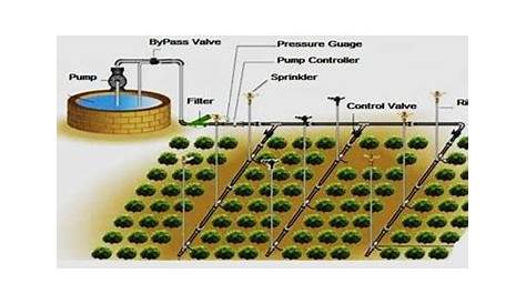 11: Layout of Sprinkler Irrigation System 320 | Download Scientific Diagram