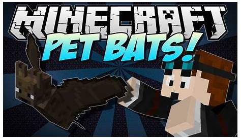 how to tame a bat in minecraft