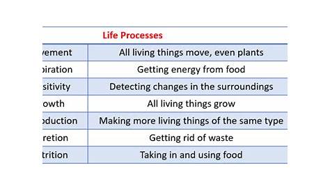 life processes grade 4 worksheet