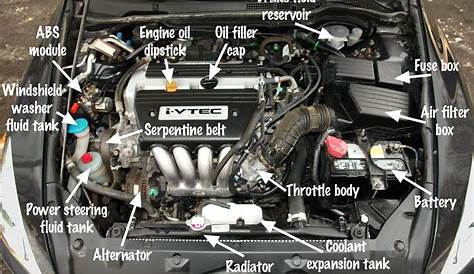 Inside Car Bonnet Diagram