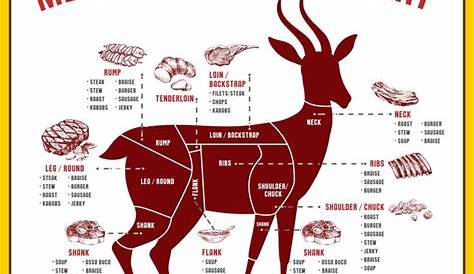 elk meat cuts chart