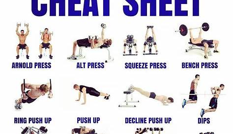 gym chest workout chart
