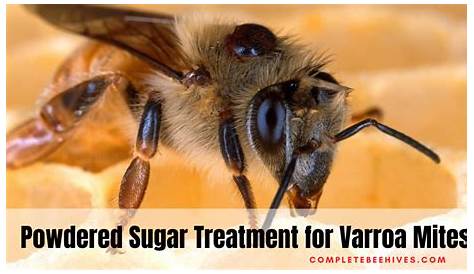 treatment for varroa mites