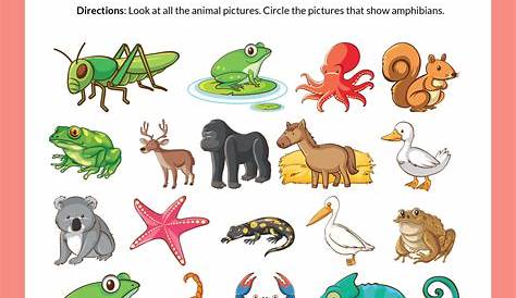 life reptiles and amphibians worksheet