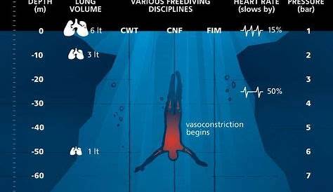 The key depths of freediving all in one cool little graphic. By #suunto