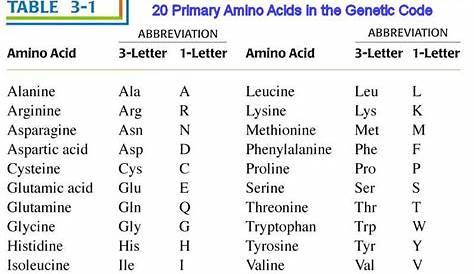 20 amino acids chart | The 20 amino acids specified by the 61 codons of the Universal Genetic