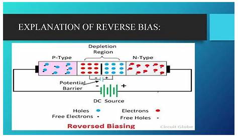 reverse bias circuit diagram