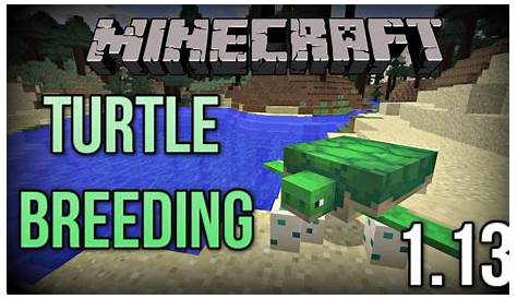 The NEW Way to BREED and HATCH Turtles in Minecraft 1.13! (Update