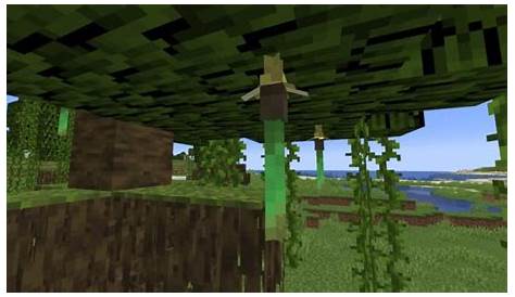 what does mangrove propagule do in minecraft