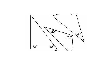 sum of angles in a triangle worksheet