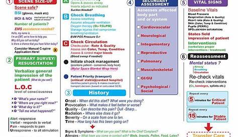medical assessment emt cheat sheet - Google Search | Emt study