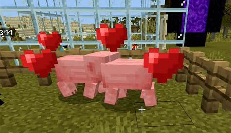 what do you feed pigs in minecraft