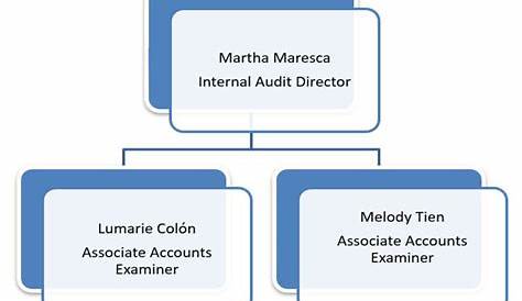 which organization audits charts regularly