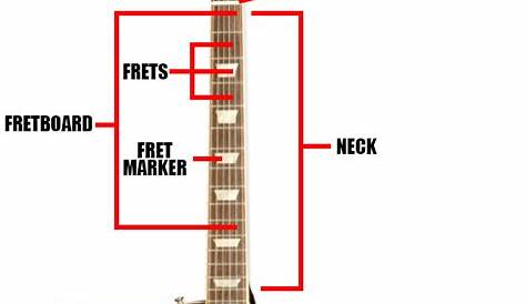 Electric Guitar Parts | Diagrams | Definitions