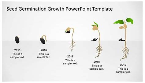 Seed Germination Growth PowerPoint Template - SlideModel