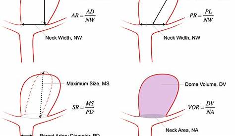 Schema of aneurysm dimensions and shape indexes. AR: aspect ratio; PR