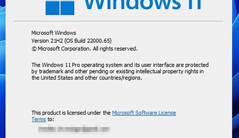 Windows 11 manual updates