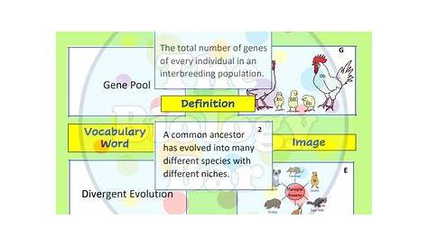 mechanisms of evolution worksheet