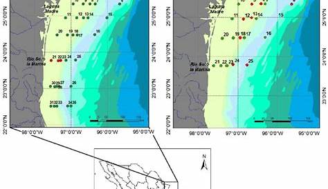 Area of study in the NW Gulf of Mexico showing the sampling sites and