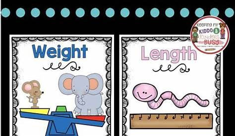 Measurement and Data Classroom Posters - Math Vocabulary - Weight
