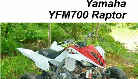 Yamaha Raptor 700 Wiring Diagram - Wiring Diagram Schemas