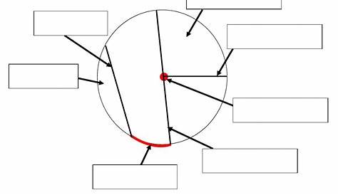 identify parts of a circle worksheet