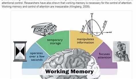 Attention and Working Memory
