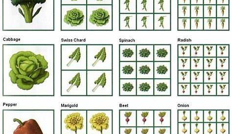 garden plant compatibility chart