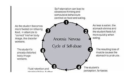 circle of abuse chart
