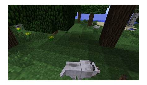 minecraft wolf spawn