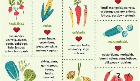 vegetable compatibility planting guide