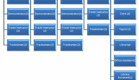 h-e-b organizational chart