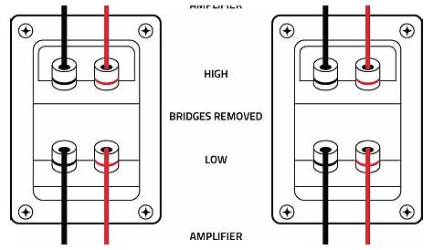 Bi Amping Speakers Diagram - Wiring Diagram Pictures