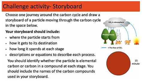 carbon cycle worksheet ks3