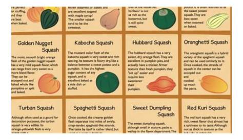#Winter #squash varieties: A #shoppers' #guide. | Fall | Pinterest