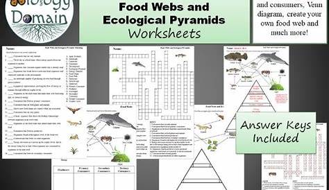 Food Web and Ecological Pyramids Worksheets | Teaching Resources