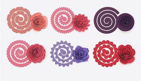 Rolled Flower Templates, 3D Flowers - SVG, DXF, EPS, JPEG, PDF By