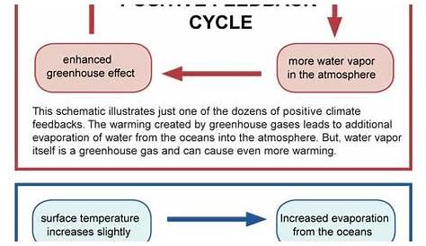 2C: Carbon Cycle Feedbacks