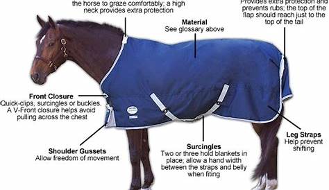 horse blanket temp chart