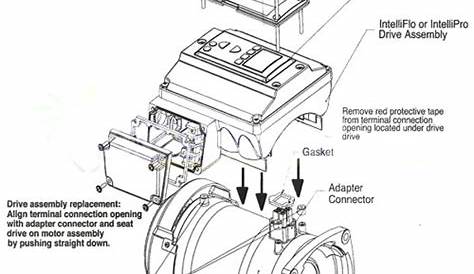 pentair intelliflo pump parts diagram
