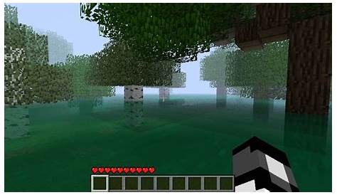 Swamp Biome Minecraft Project