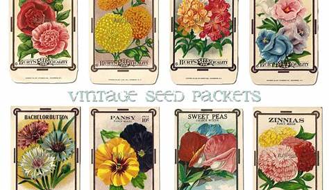 vintage seed packet clipart - Clipground