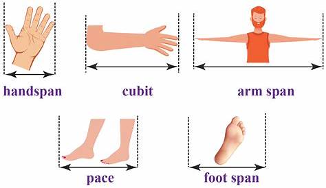 measurement using body parts