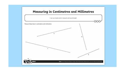 Measuring in Centimeters and Millimeters Worksheet / Worksheet