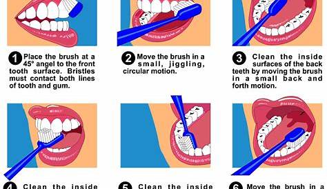 How to Brush your Teeth Effectively - Choice Dental