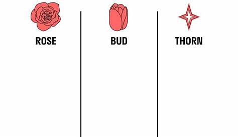 Guide to the Rose, Bud, Thorn Exercise | Vibe
