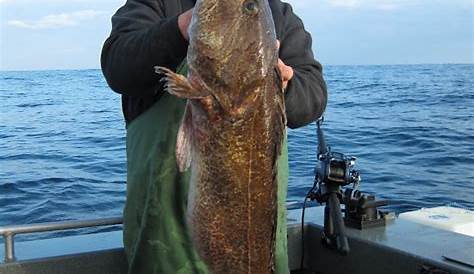 Todds Extreme Fishing: Neah Bay halibut & lings May 31 - june 2